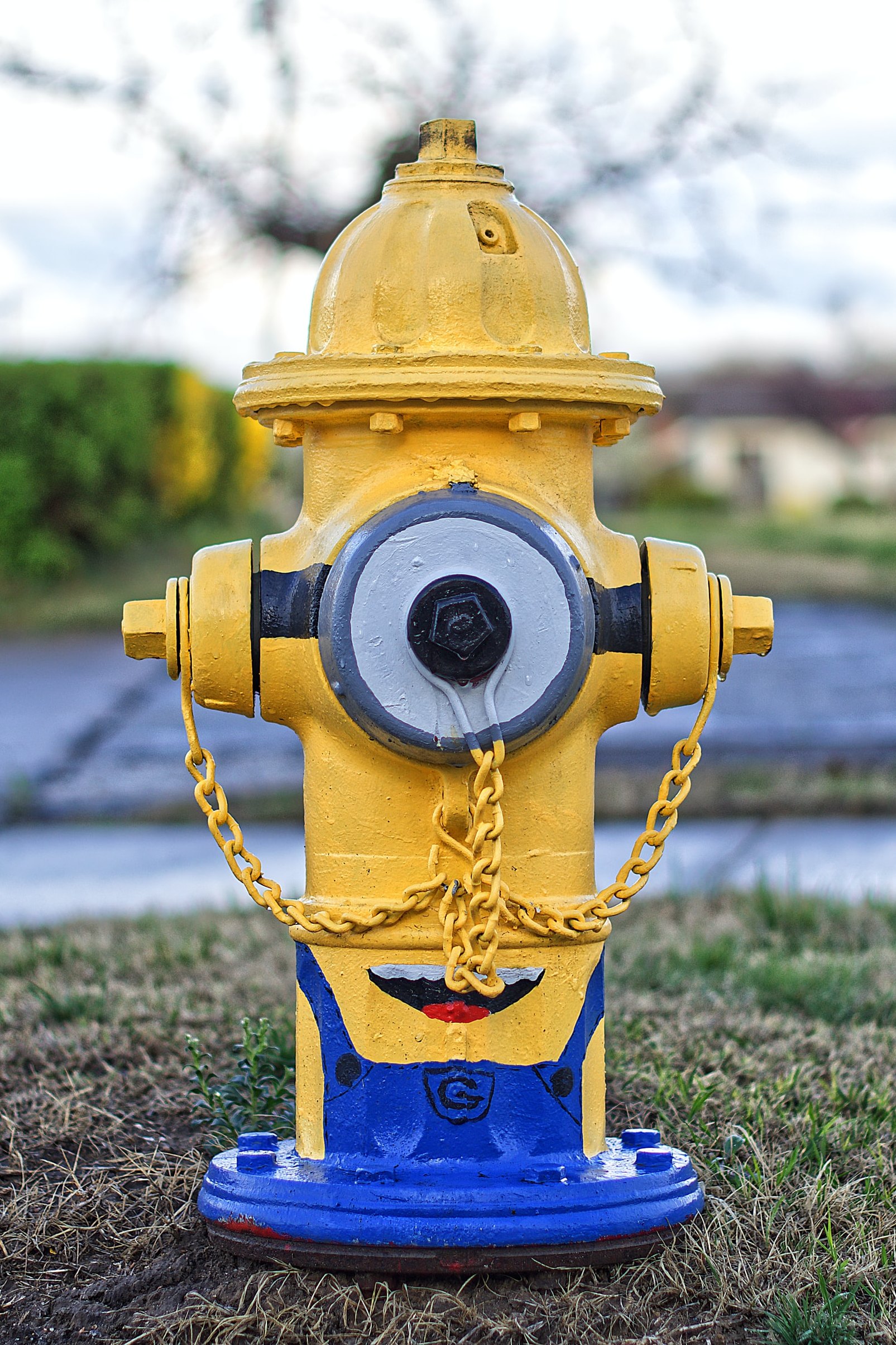 Minionkowy hydrant Hydromont Kubiak